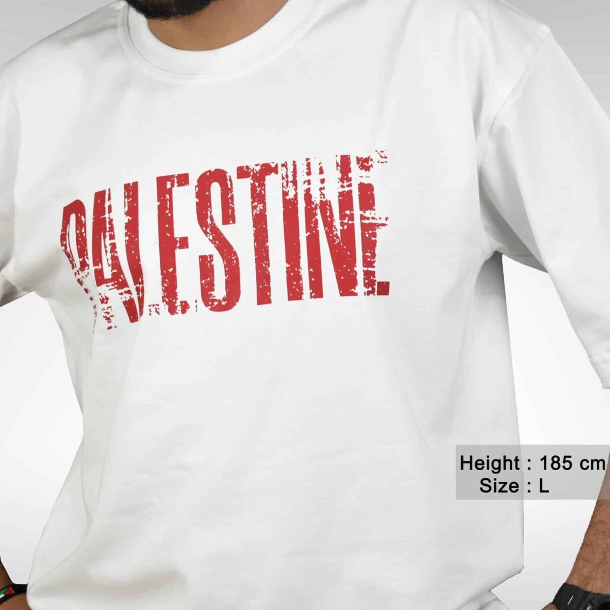 Palestine Resilience Oversized T-Shirt