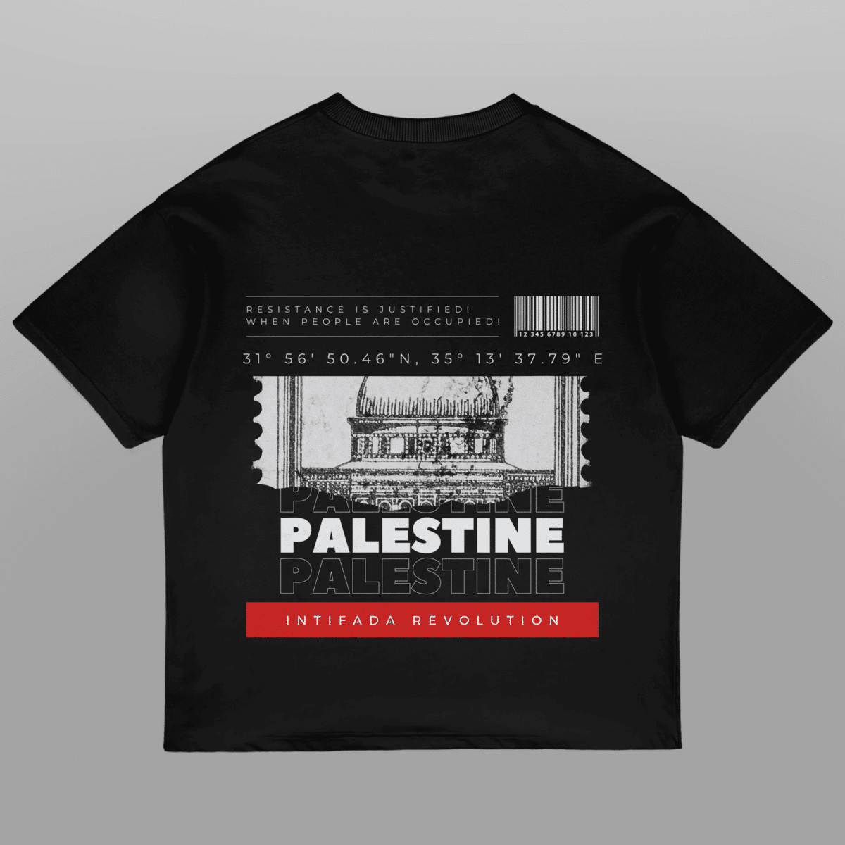 Palestine Coordinates Oversized Tshirt