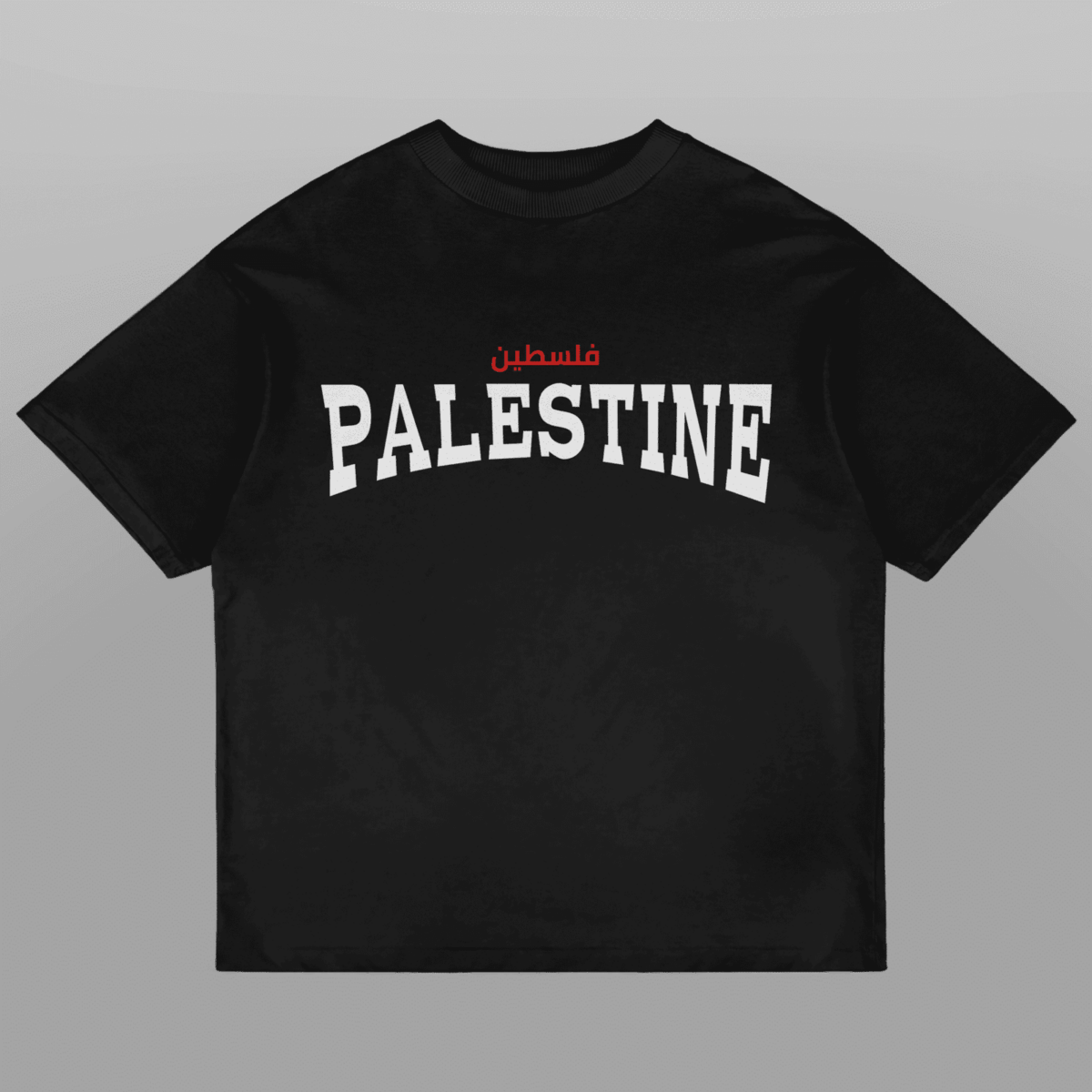 Palestine Coordinates Oversized Tshirt