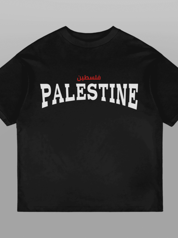 Palestine Coordinates Oversized Tshirt