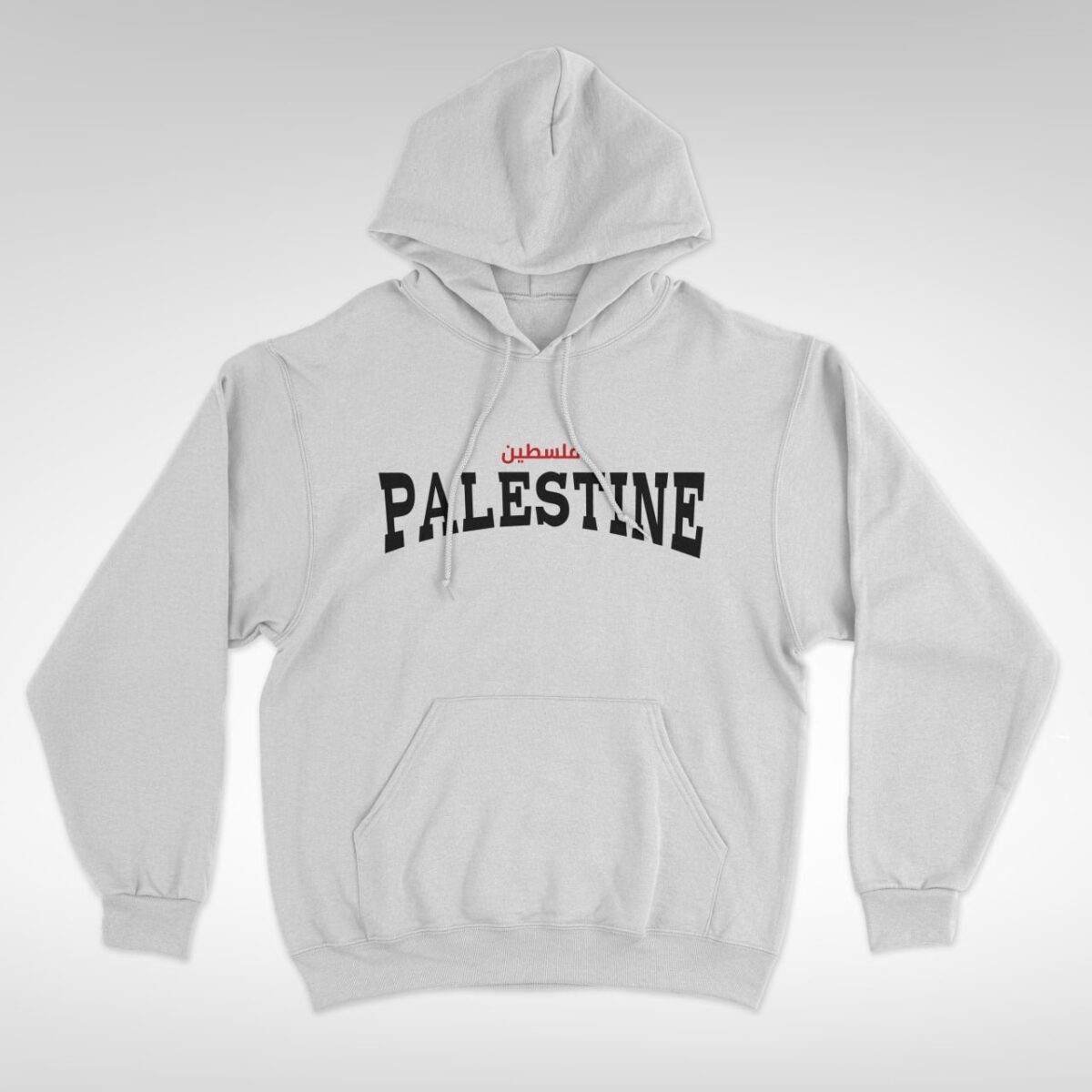 Palestine Coordinates Hoodie